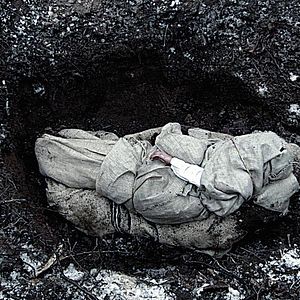 Foto Older Than America