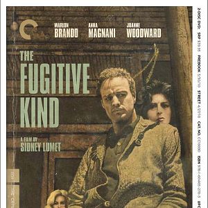 Foto Piel de serpiente