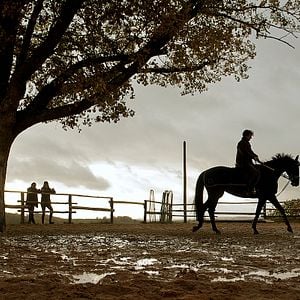 Foto Jappeloup. De padre a hijo
