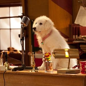 Foto Santa Can 2: Los cachorros de Santa