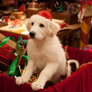 Foto Santa Can 2: Los cachorros de Santa