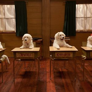 Foto Santa Can 2: Los cachorros de Santa