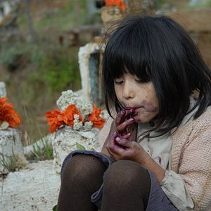 Foto Violeta se fue a los cielos