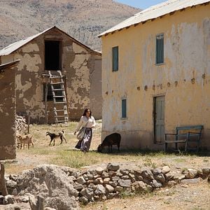 Foto Violeta se fue a los cielos
