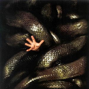 Foto Anacondas: La cacería por la orquídea sangrienta