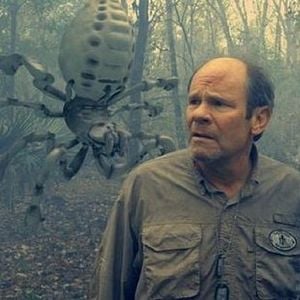 Arachnoquake - Película 2012