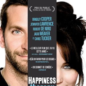 Foto El lado bueno de las cosas (Silver Linings Playbook)