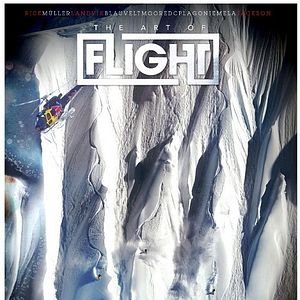 Foto The Art of Flight 3D