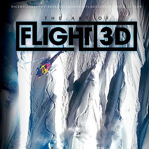 Foto The Art of Flight 3D