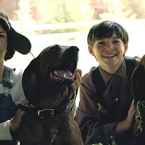 Foto Where the Red Fern Grows