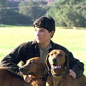 Foto Where the Red Fern Grows