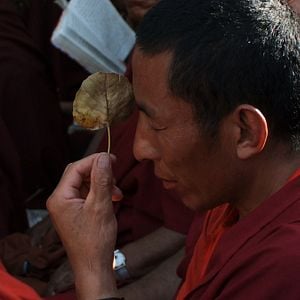 Foto The End of Time