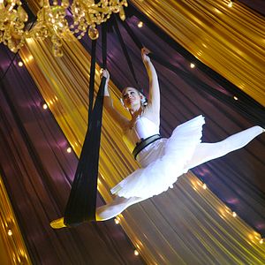 Foto Sophie and Sheba