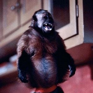 Foto Atracción diabólica