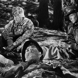 Foto Fear and Desire