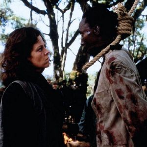 Foto Gorilas en la niebla