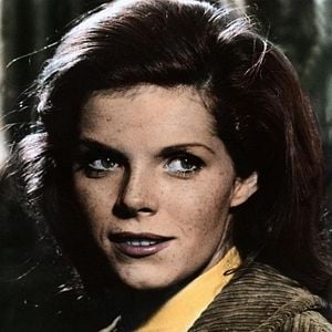 Foto El coleccionista