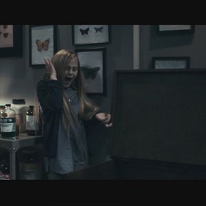 Foto La habitación de las mariposas