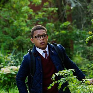 Foto Percelle Ascott