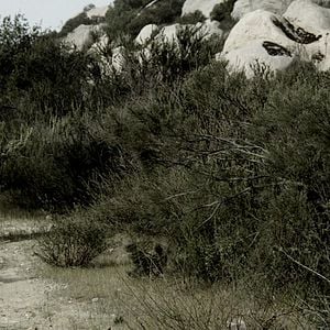 Foto Ahí va el diablo