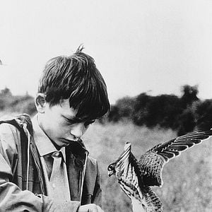 Kes - Película 1969