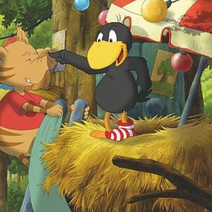 Foto Cuervito calcetín: La gran carrera