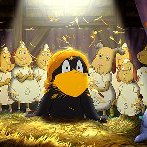 Foto Cuervito calcetín: La gran carrera