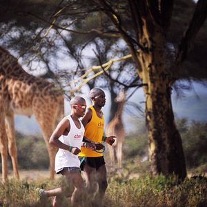 Foto Gold - Du kannst mehr als Du denkst