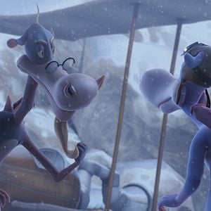 Foto El corazón del roble