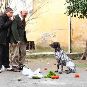 Foto Mutlu Aile Defteri