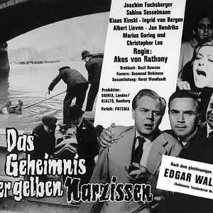 Foto Das Geheimnis der gelben Narzissen