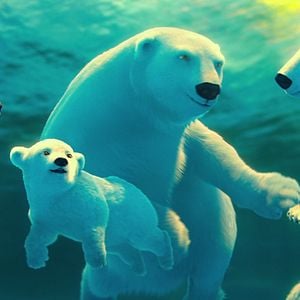 Foto The Polar Bears