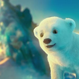 Foto The Polar Bears