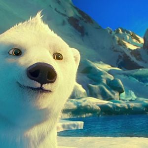 Foto The Polar Bears