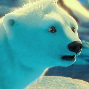 Foto The Polar Bears