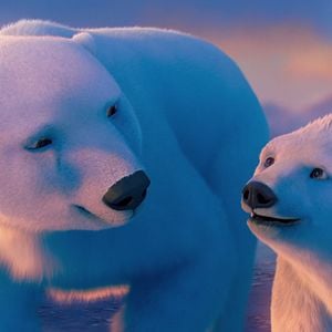 Foto The Polar Bears