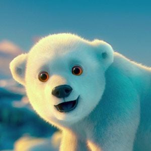 Foto The Polar Bears