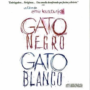 Foto Gato negro, gato blanco