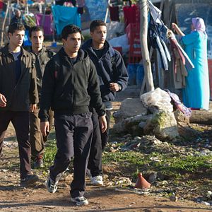 Foto Los caballos de Dios