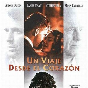 Foto Un viaje desde el corazón