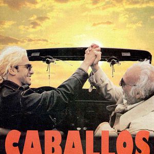 Foto Caballos salvajes