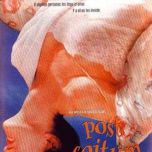 Foto Post coitum, animal triste