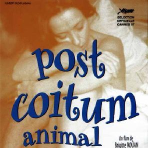 Foto Post coitum, animal triste