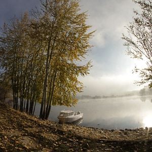 Foto Mandíbulas 4: El capítulo final