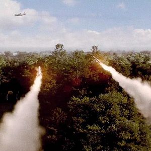 Foto Objetivo: La Casa Blanca