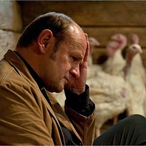 Foto Los hijos de las montañas