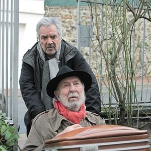 Foto En la flor de la vida