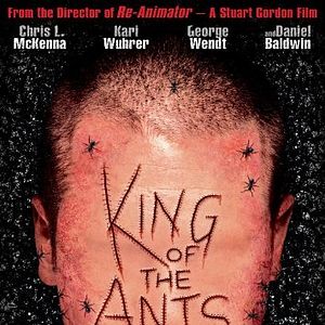 Foto King of the Ants