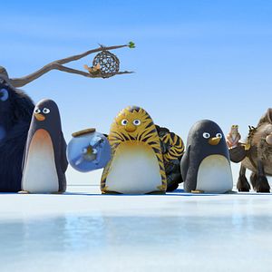 Foto La panda de la selva: vuelta al hielo