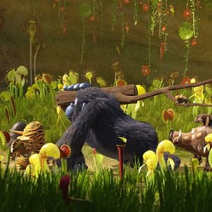 Foto La panda de la selva: vuelta al hielo